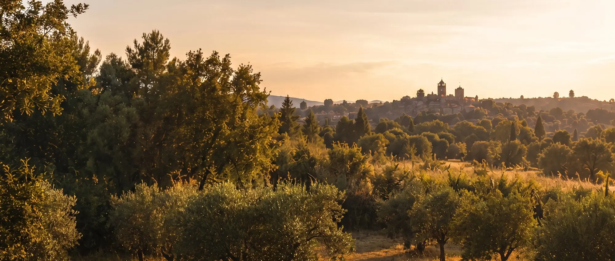 Campagne d'Occitanie au crépuscule, village perché sur la colline